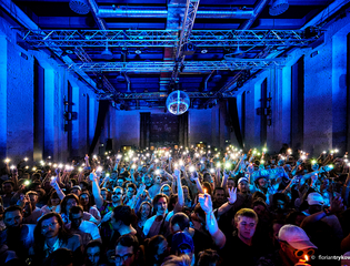 Menschenmenge beim Nürnberg Pop Festival, die ihre Hände in die Luft streckt.  