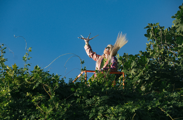 Ein Mensch auf einer Leiter in einem Baum, mit einem Vogel. Teil des Musik Installationsfestivals in Nürnberg.