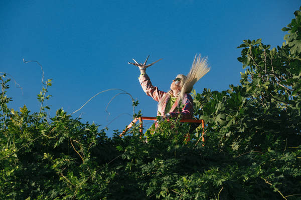 Ein Mensch auf einer Leiter in einem Baum, mit einem Vogel. Teil des Musik Installationsfestivals in Nürnberg.