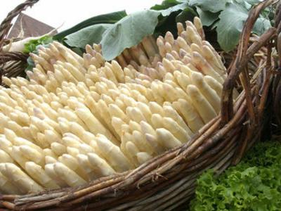 Fränkischer Spargel Fränkischer Spargel