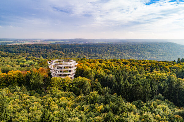 Ein hoher, spiralförmiger Aussichtsturm aus hellem Holz ragt aus einem herbstlich verfärbten Mischwald der Bayerischen Staatsforsten heraus. Die weite Hügellandschaft im Hintergrund erstreckt sich unter einem leicht bewölkten Himmel bis zum Horizont.