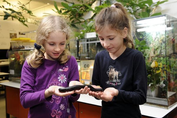 Kindermuseum Regenwaldhaus Im Regenwaldhaus des Kindermuseum