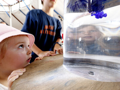 Erfahrungsfeld zur Entfaltung der Sinne