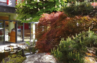Avenon Privathotel "Am Steinberg" - Garten