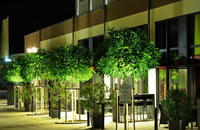 Hotel Sonne - Sonne bei Nacht