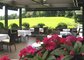 Ramada by Wyndham Nürnberg Parkhotel - Terrasse_A