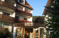 Landidyll Hotel Zum Alten Schloß - Außenansicht