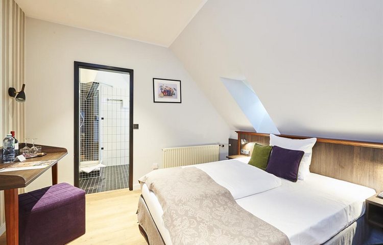 Hotel Hauser - Doppelzimmer Standard zur Einzelnutzung