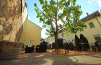 Altstadthotel Fürth - Garten