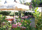 Hotel-Restaurant Nürnberger Hof - Terrasse2