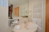 Landhotel Seerose - Bad 2