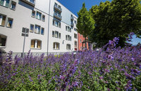 Novina Hotel Tillypark - Aussenansicht 2