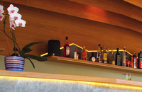 Avenon Privathotel "Am Steinberg" - Bar 2