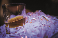 Seminaris Hotel - Bar