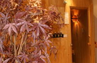 Arvena Reichsstadt Hotel - Sauna
