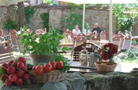 Hotel Der Schwan - Biergarten