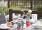 Living Hotel Nürnberg - 59-DLH-Nürnberg-Frühstück Terrasse-14-058